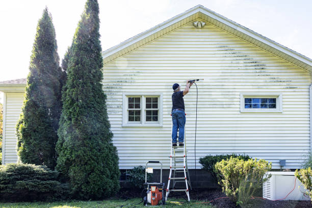 Professional  Pressure Washing Services in Dooms, VA